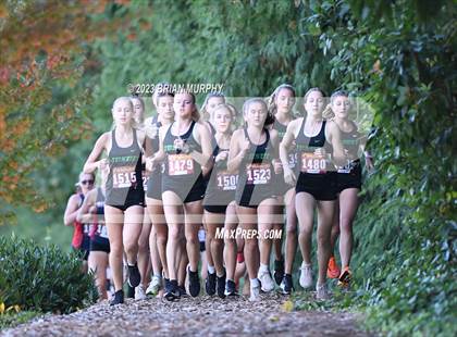 Thumbnail 1 in Westview & Southridge @ Jesuit photogallery.