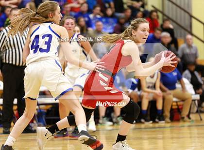 Thumbnail 1 in Buffalo Seminary vs Christian Central Academy (MMHSAA Class B finals) photogallery.