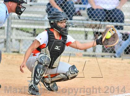 Thumbnail 3 in Lake Minneola @ Mount Dora photogallery.