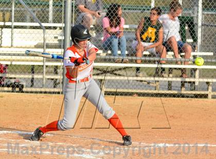 Thumbnail 2 in Lake Minneola @ Mount Dora photogallery.