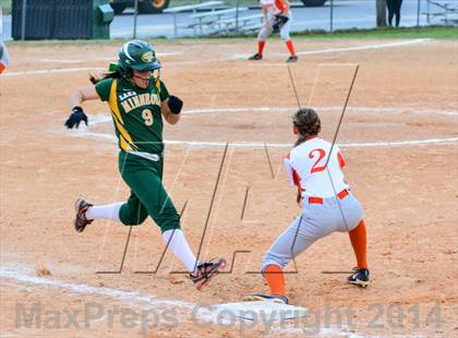 Thumbnail 2 in Lake Minneola @ Mount Dora photogallery.