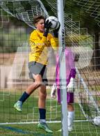 Photo from the gallery "Bosque @ Santa Fe Prep"