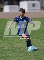 Photo from the gallery "Bosque @ Santa Fe Prep"