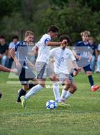 Photo from the gallery "Bosque @ Santa Fe Prep"