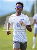 Photo from the gallery "Bosque @ Santa Fe Prep"