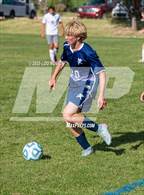 Photo from the gallery "Bosque @ Santa Fe Prep"