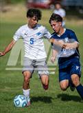 Photo from the gallery "Bosque @ Santa Fe Prep"