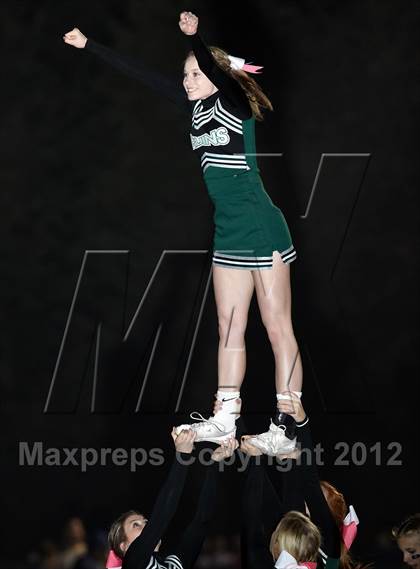 Thumbnail 3 in Ponderosa @ Oak Ridge photogallery.