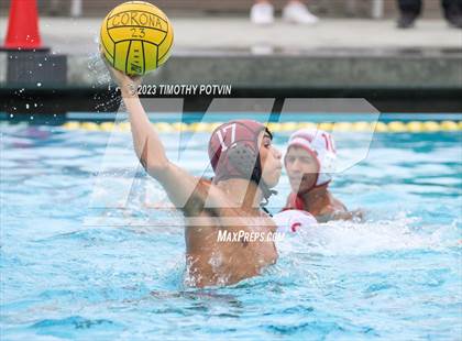 Thumbnail 3 in Patriot vs Savanna photogallery.