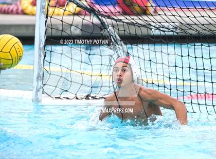 Thumbnail 2 in Patriot vs Savanna photogallery.