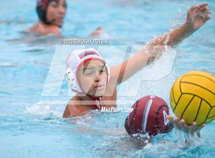 Thumbnail 2 in Patriot vs Savanna photogallery.