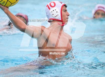 Thumbnail 2 in Patriot vs Savanna photogallery.