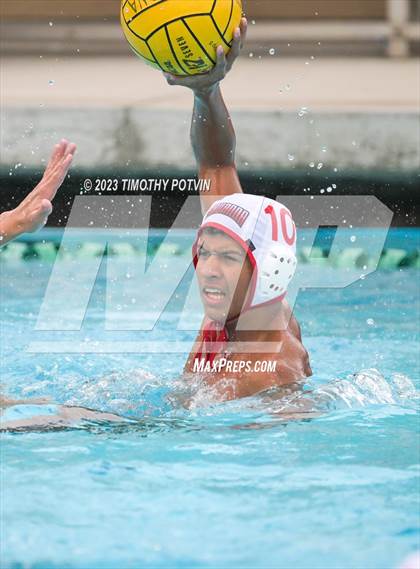 Thumbnail 2 in Patriot vs Savanna photogallery.