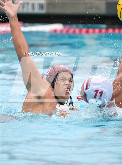 Thumbnail 3 in Patriot vs Savanna photogallery.