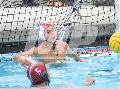 Thumbnail 3 in Patriot vs Savanna photogallery.