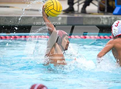 Thumbnail 1 in Patriot vs Savanna photogallery.