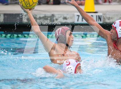 Thumbnail 3 in Patriot vs Savanna photogallery.