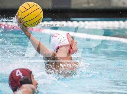 Thumbnail 3 in Patriot vs Savanna photogallery.