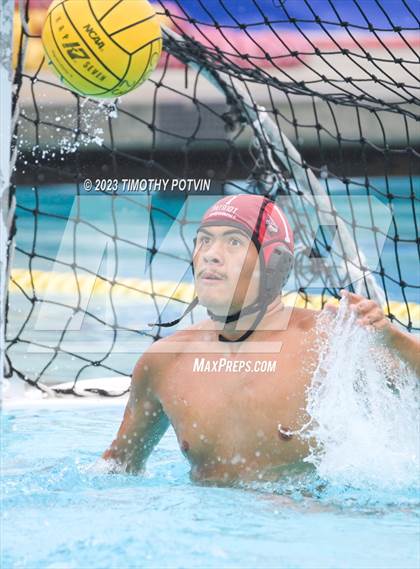 Thumbnail 2 in Patriot vs Savanna photogallery.