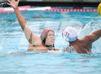 Thumbnail 2 in Patriot vs Savanna photogallery.