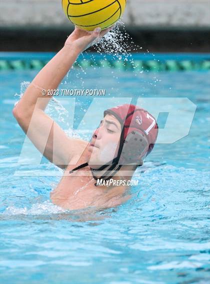 Thumbnail 1 in Patriot vs Savanna photogallery.