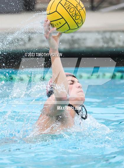 Thumbnail 1 in Patriot vs Savanna photogallery.