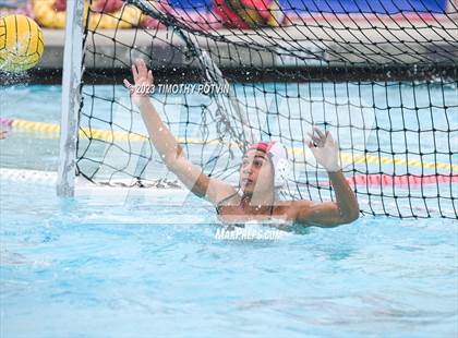 Thumbnail 3 in Patriot vs Savanna photogallery.