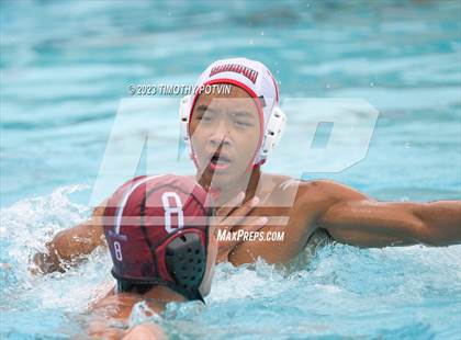 Thumbnail 1 in Patriot vs Savanna photogallery.