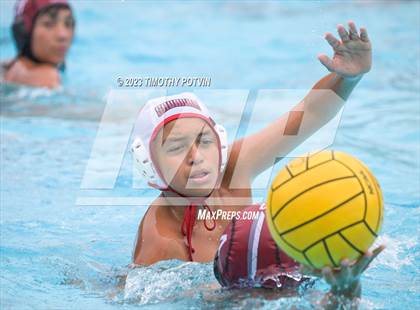 Thumbnail 3 in Patriot vs Savanna photogallery.