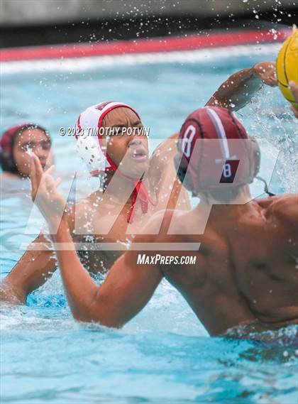 Thumbnail 3 in Patriot vs Savanna photogallery.