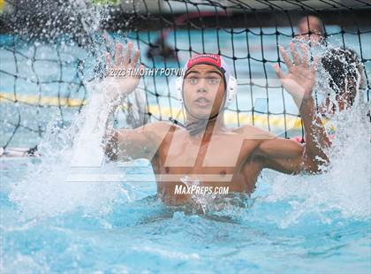 Thumbnail 2 in Patriot vs Savanna photogallery.