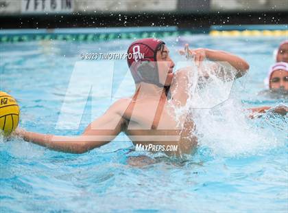 Thumbnail 2 in Patriot vs Savanna photogallery.