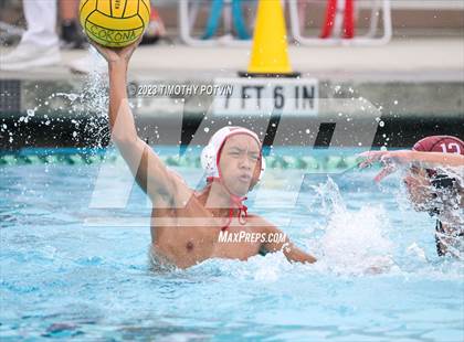 Thumbnail 3 in Patriot vs Savanna photogallery.