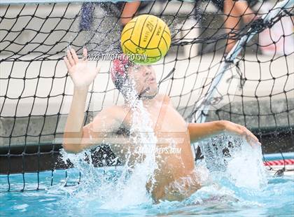 Thumbnail 1 in Patriot vs Savanna photogallery.