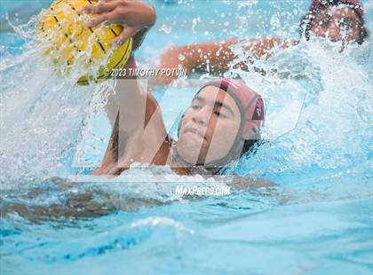 Thumbnail 1 in Patriot vs Savanna photogallery.