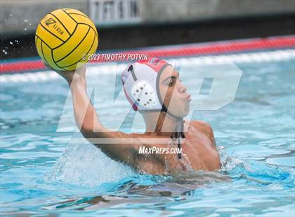 Thumbnail 1 in Patriot vs Savanna photogallery.