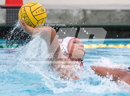 Thumbnail 2 in Patriot vs Savanna photogallery.