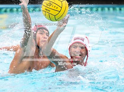 Thumbnail 1 in Patriot vs Savanna photogallery.
