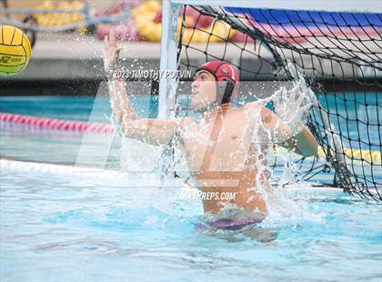 Thumbnail 2 in Patriot vs Savanna photogallery.