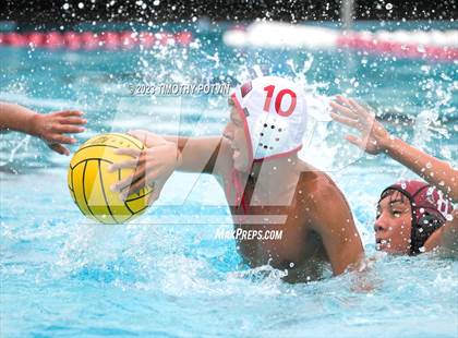 Thumbnail 1 in Patriot vs Savanna photogallery.