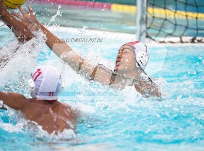 Thumbnail 1 in Patriot vs Savanna photogallery.