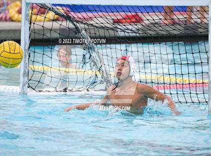 Thumbnail 3 in Patriot vs Savanna photogallery.