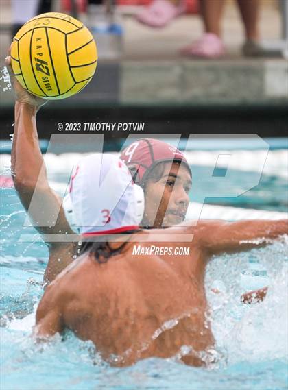 Thumbnail 1 in Patriot vs Savanna photogallery.