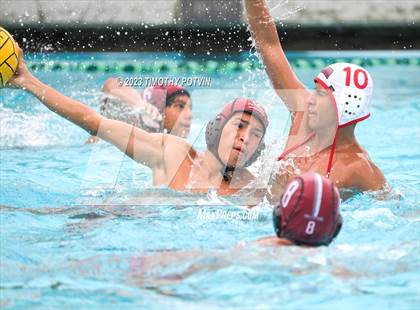 Thumbnail 2 in Patriot vs Savanna photogallery.