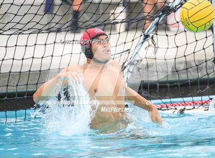 Thumbnail 3 in Patriot vs Savanna photogallery.