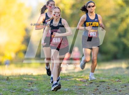 Thumbnail 2 in Kentlake Meet photogallery.