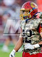 Photo from the gallery "Red Bud @ Roxana"