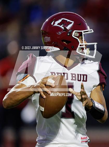 Thumbnail 3 in Red Bud @ Roxana photogallery.
