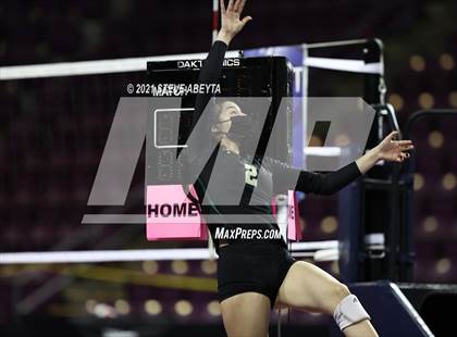 Thumbnail 2 in Grandview vs Mountain Vista (CHSAA 5A 1st Round) photogallery.