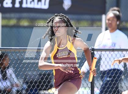 Thumbnail 1 in Spring Break Showdown photogallery.